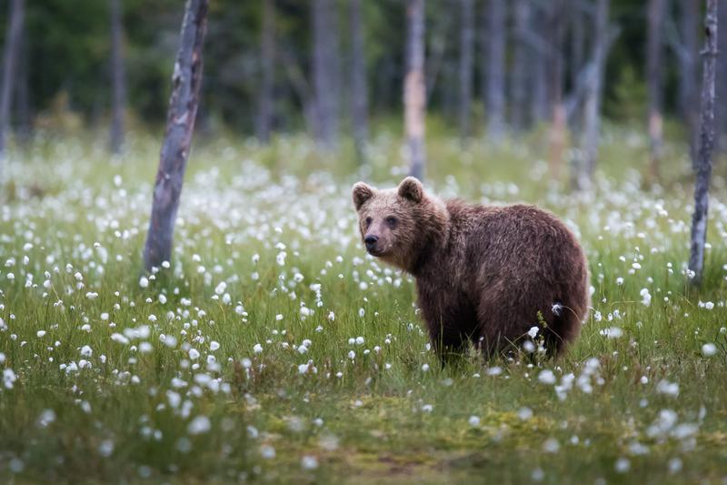 Jyrki Salonen Photography